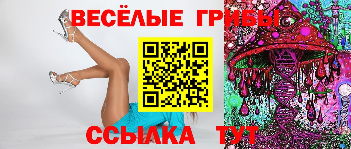 Новосибирск  Галлюциногенные грибы прущие грибы  Вход с VPN 